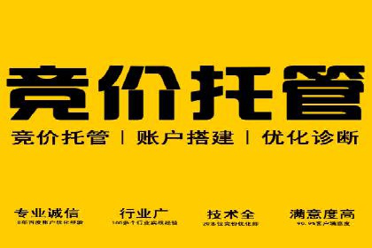 百度竞价运营的挑战与机遇：成功案例探讨